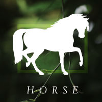 box_horse
