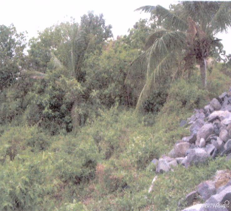 720 Sqm Residential Land/lot For Sale Talisay City