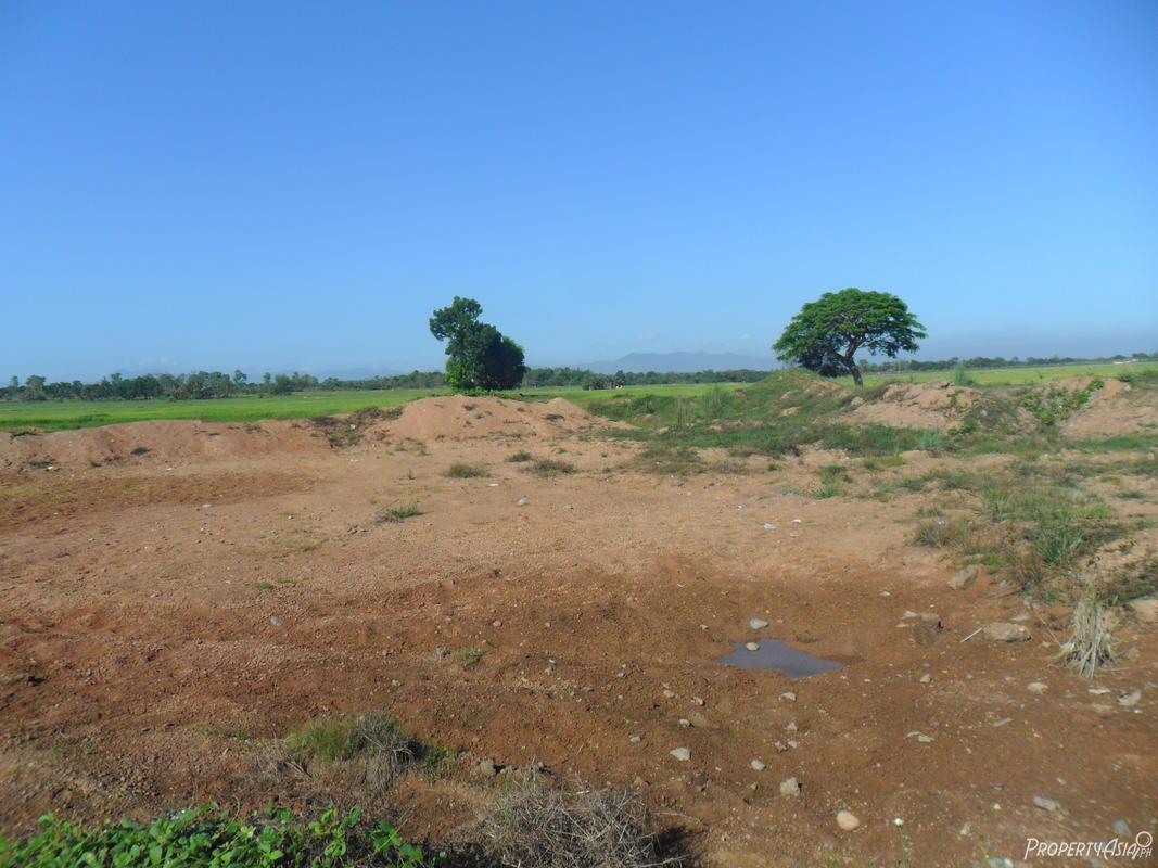 20,443 Sqm Residential Land/lot For Sale