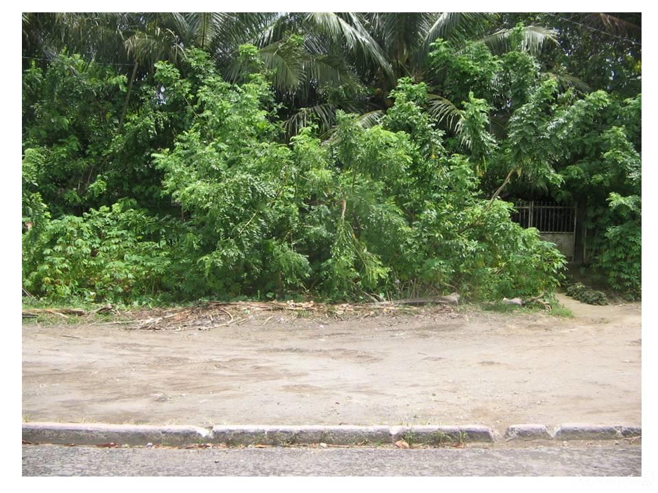 120 Sqm Residential Land/lot Sale In Tubay