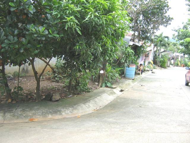 85 Sqm House And Lot Sale In San Mateo