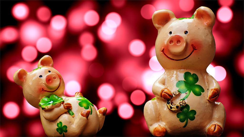 Resultado de imagen de pixabay chinese animal pig